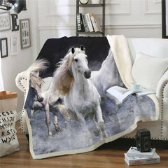 Horse Blanket