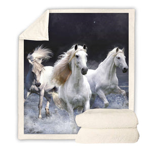  Horse Blanket