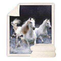  Horse Blanket
